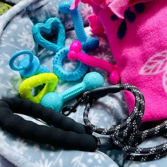 NWT🐾💗Small Dog Gift Bed Basket💗🐾Comes w/leash,blanket,8 great toys,plush bed